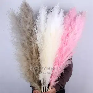 Biggest Size Fluffy Pampers Grass