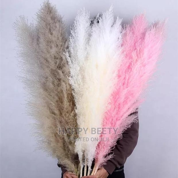 Biggest Size Fluffy Pampers Grass - main view