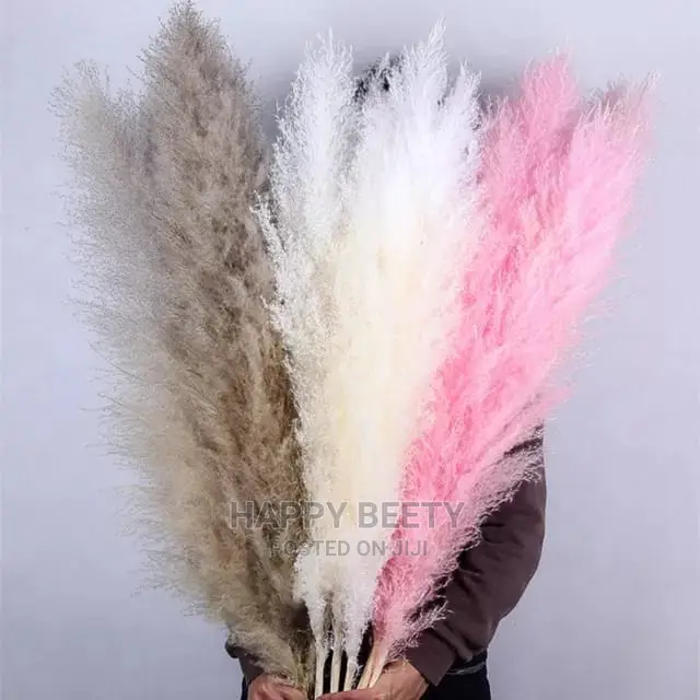 Biggest Size Fluffy Pampers Grass