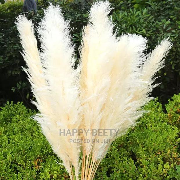Biggest Size Fluffy Pampers Grass - thumbnail 2