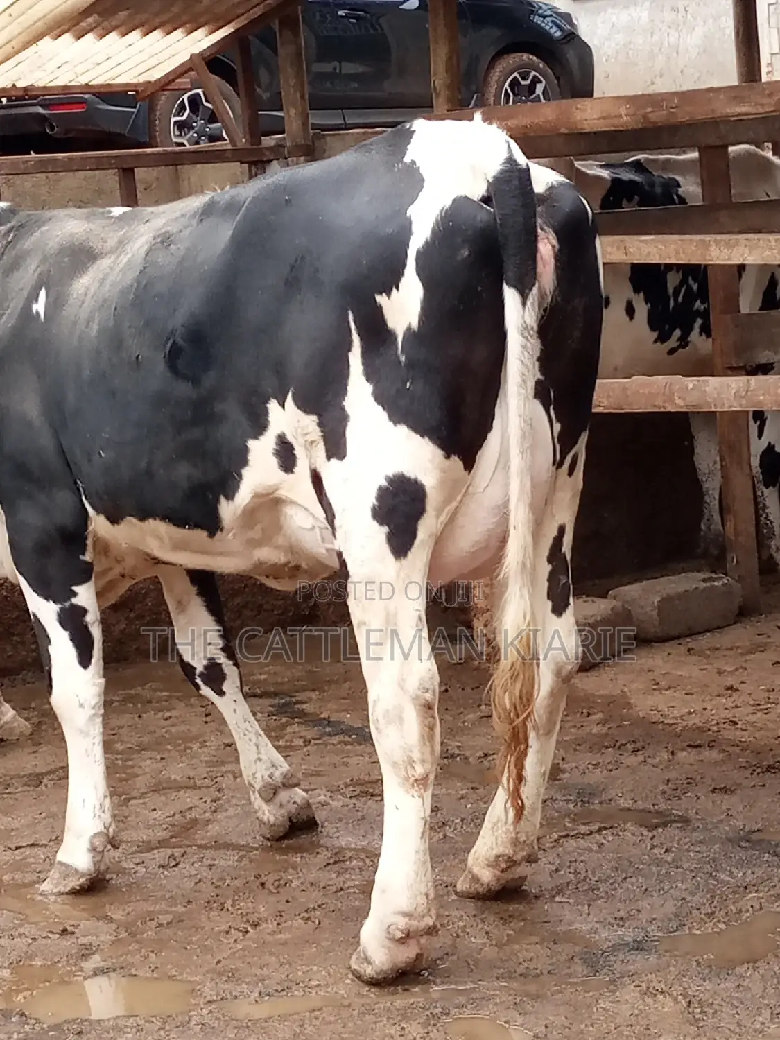 Fleckview for Sale