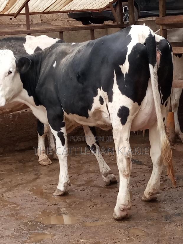 Fleckview for Sale - thumbnail 5