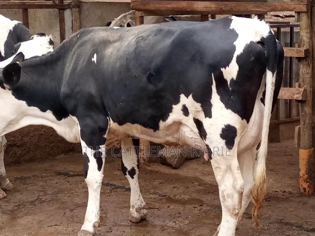 Fleckview for Sale - thumbnail 8