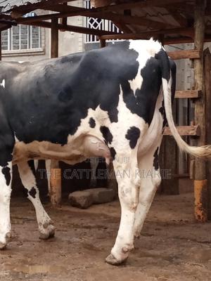 Fleckview for Sale - thumbnail 2