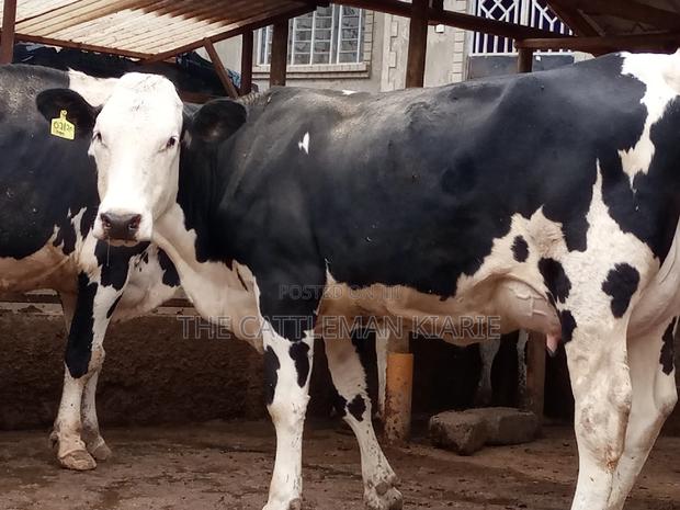 Fleckview for Sale - thumbnail 7