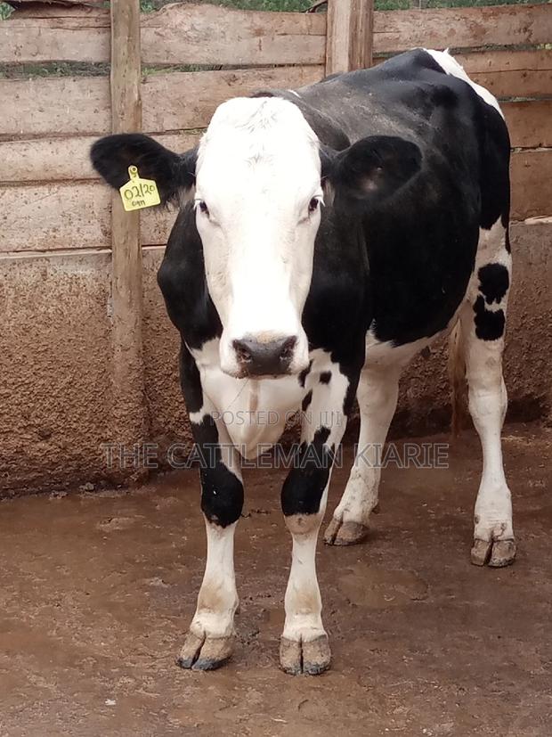 Fleckview for Sale - thumbnail 10