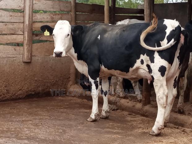 Fleckview for Sale - thumbnail 12