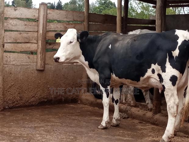 Fleckview for Sale - thumbnail 13