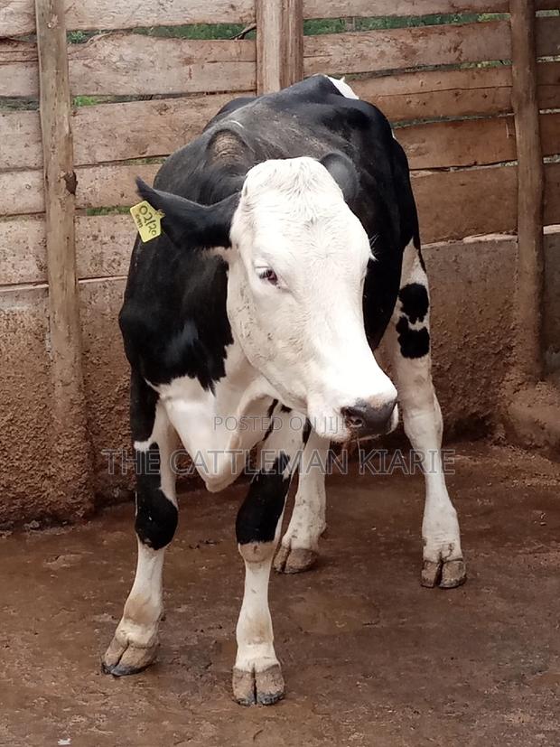 Fleckview for Sale - thumbnail 11