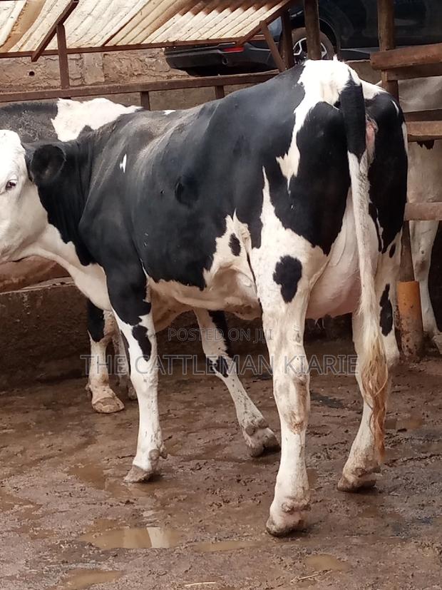 Fleckview for Sale - thumbnail 17