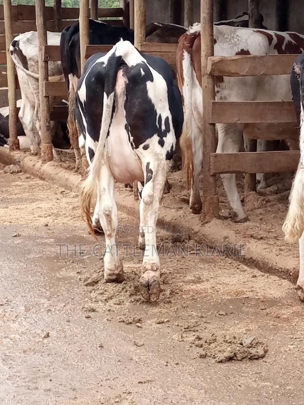 Fleckview for Sale - thumbnail 15