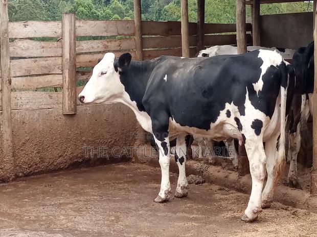 Fleckview for Sale - thumbnail 14