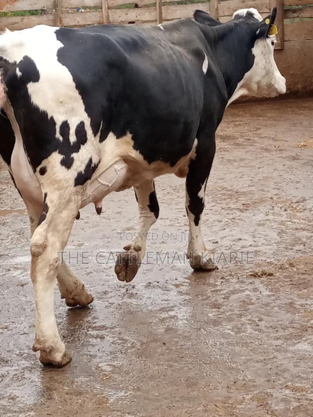 Fleckview for Sale - thumbnail 16