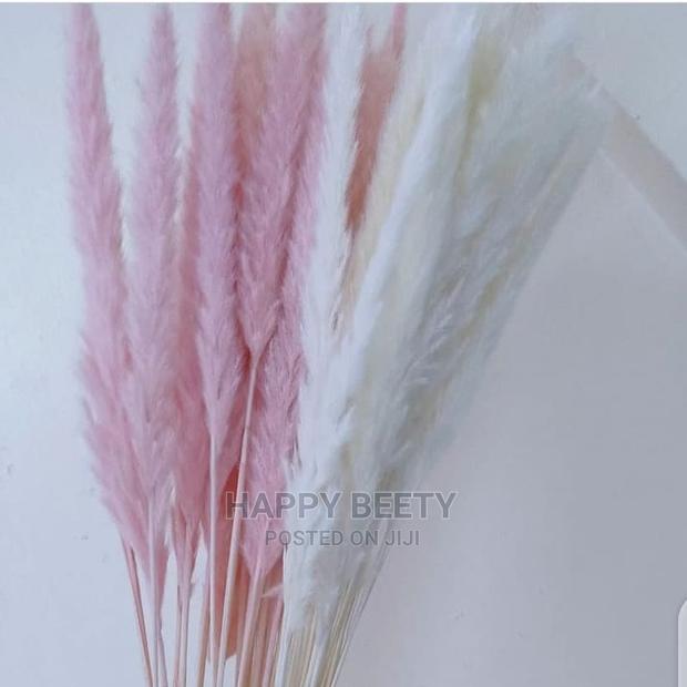 Mini Pampers Grass