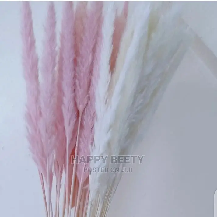 Mini Pampers Grass