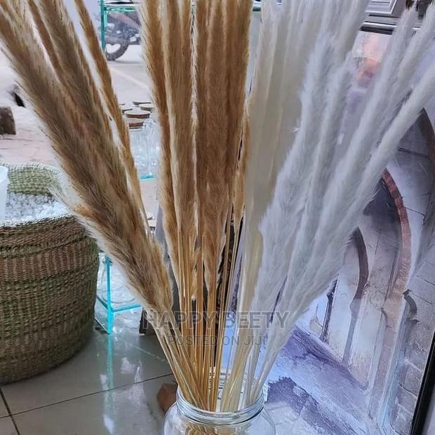 Mini Pampers Grass - thumbnail 2