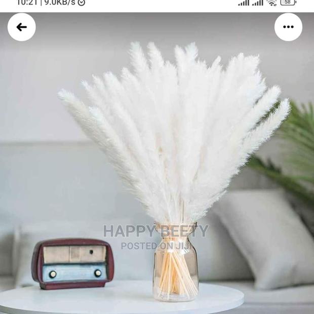 Mini Pampers Grass - thumbnail 3