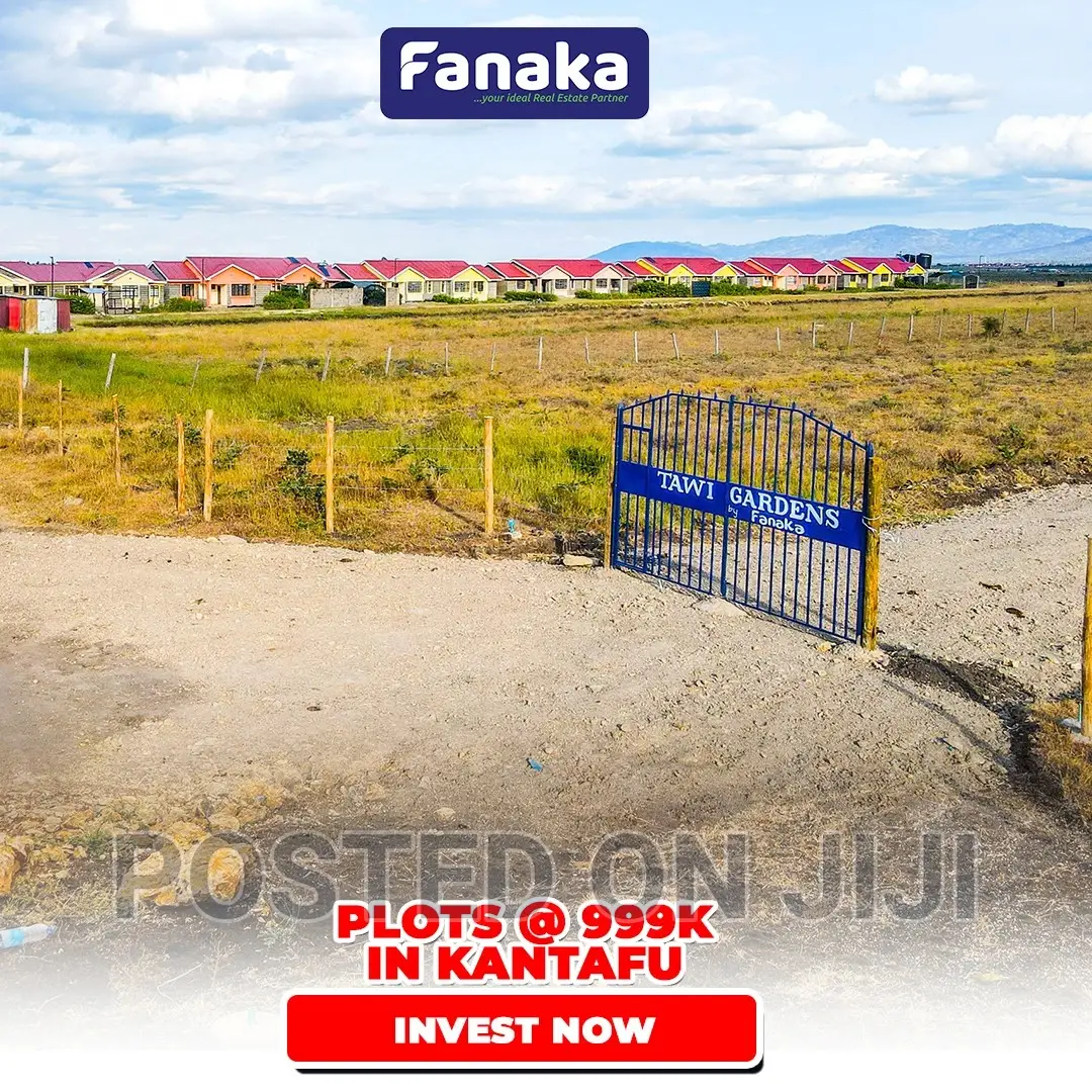 Zawadi 800 Meters From Tarmac