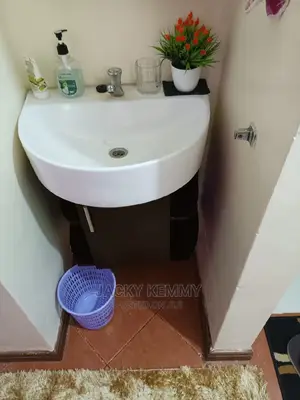 Furnished 2 Bedroom Apartment in South B