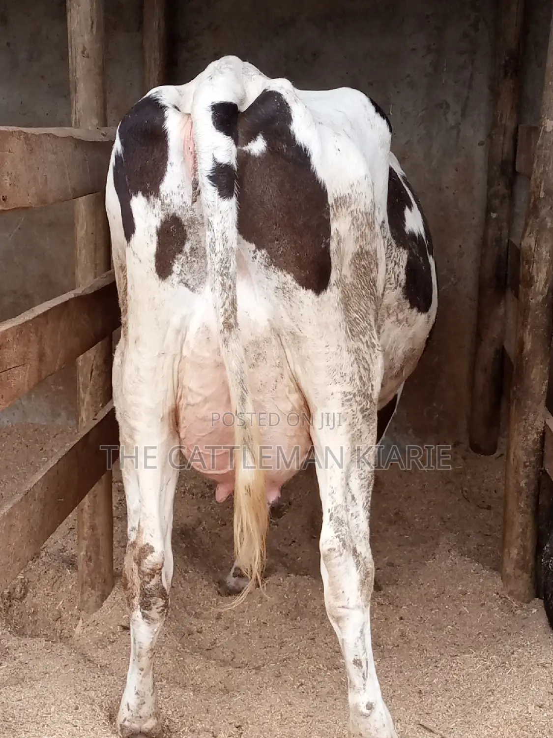 Fleckview for Sale in Kenya