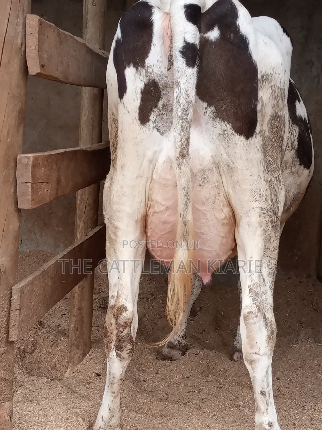 Fleckview for Sale in Kenya