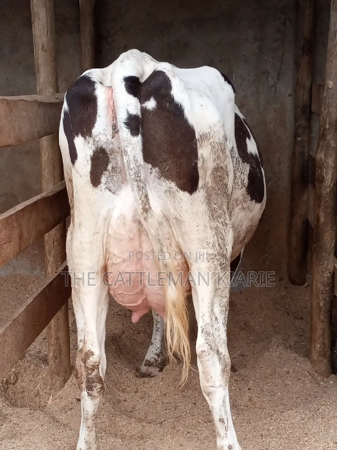 Fleckview for Sale in Kenya