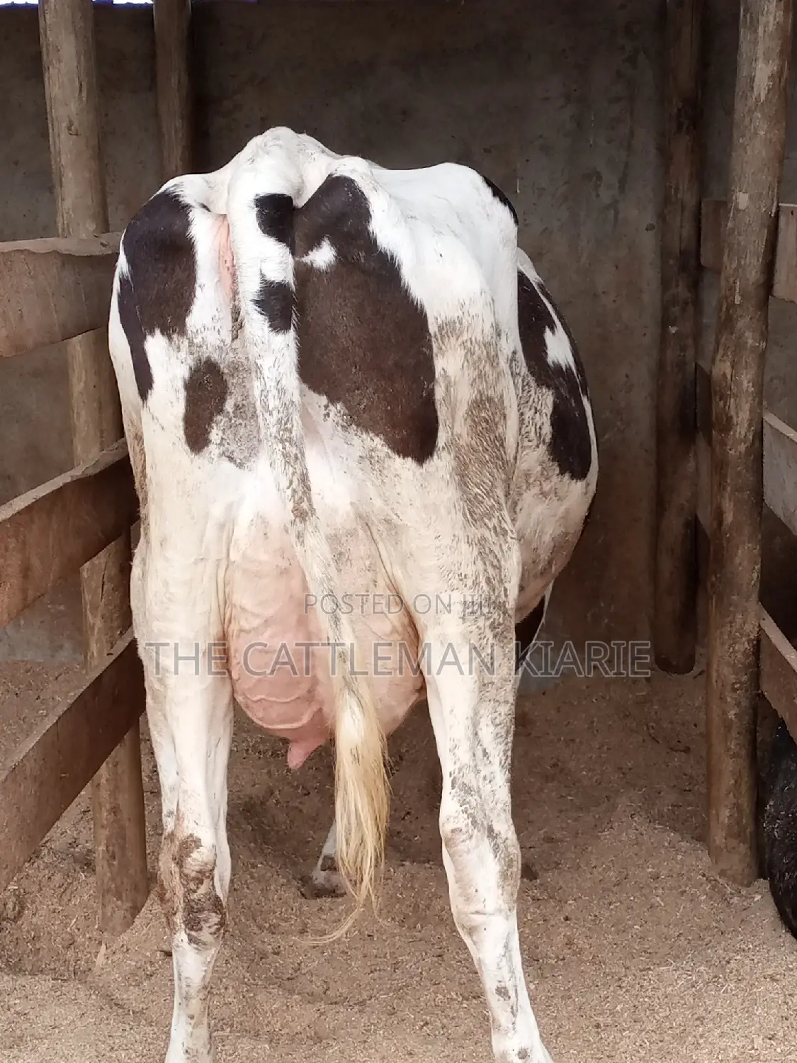 Fleckview for Sale in Kenya