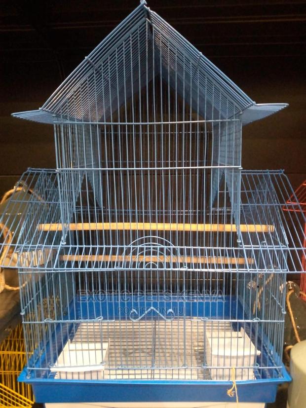 Cages for Birds - main view