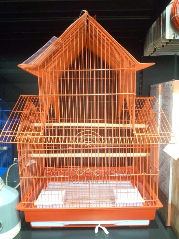 Cages for Birds - thumbnail 3