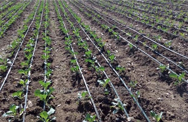 Drip Irrigation. 1/8 Acre. 2 Lines.