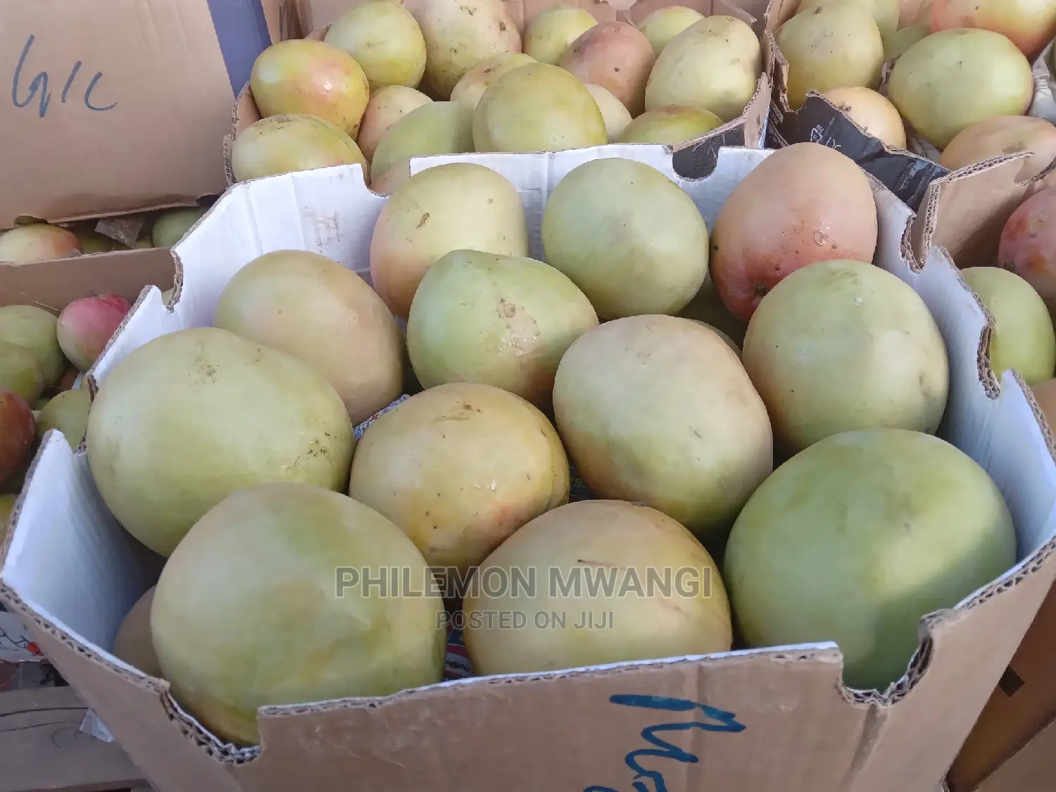 Apple Mangoe