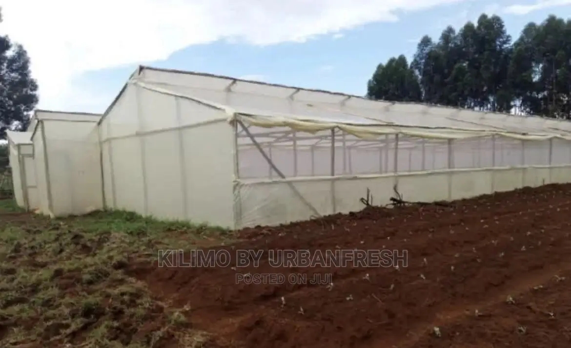Wooden Greenhouse 6 X 30m.