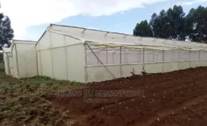 Wooden Greenhouse 6 X 30m.