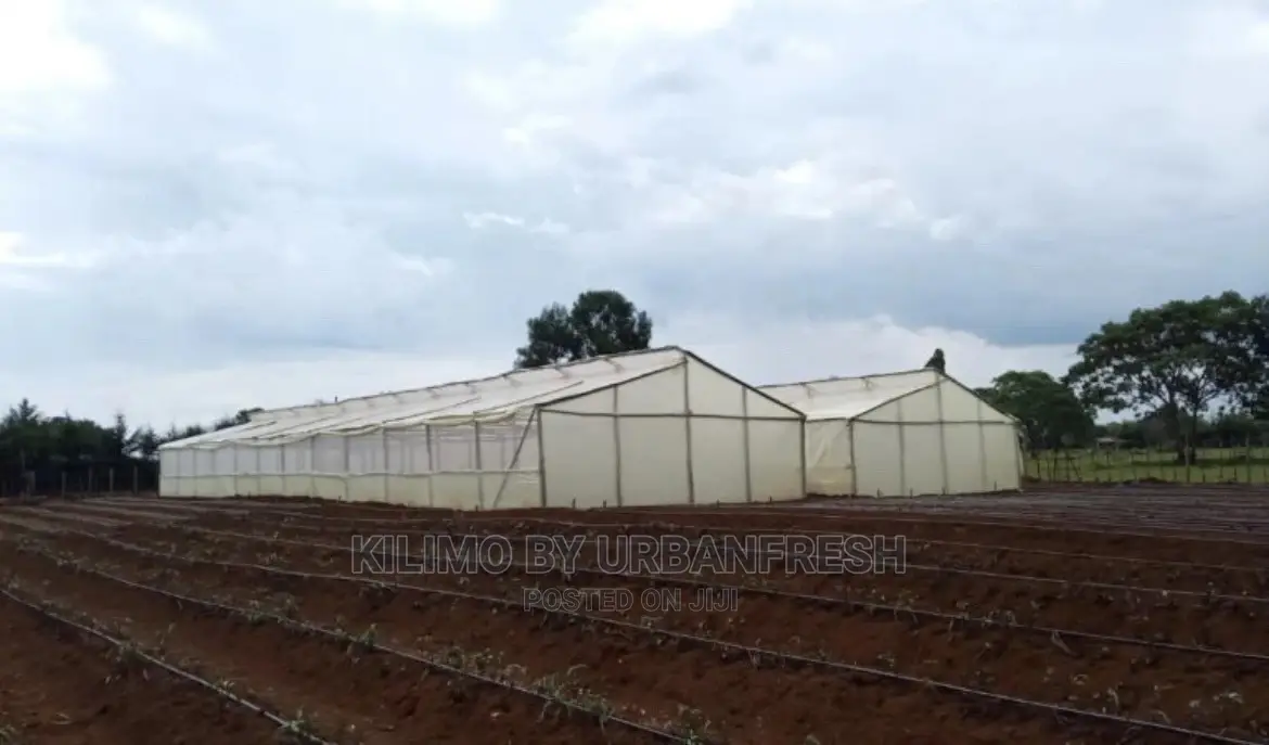 Wooden Greenhouse 6 X 30m.