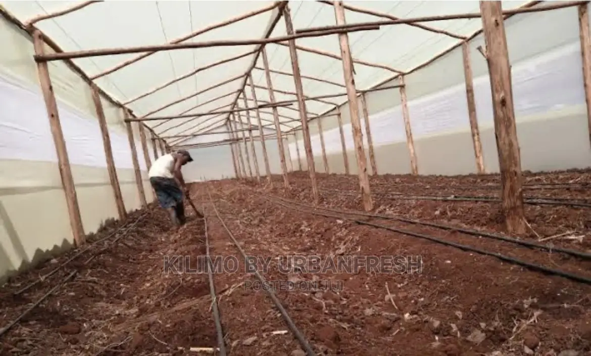 Wooden Greenhouse 6 X 30m.