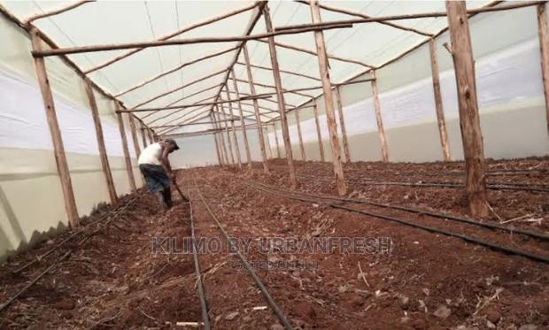 Wooden Greenhouse 6 X 30m.