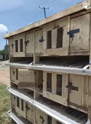 Wooden Mobile Housing Structures Poultry, Goats, Dogs,Rabbit