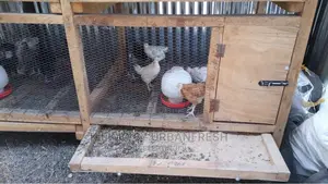 Wooden Mobile Housing Structures Poultry, Goats, Dogs,Rabbit