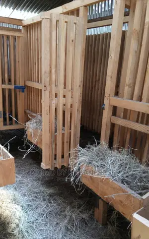 Wooden Mobile Housing Structures Poultry, Goats, Dogs,Rabbit