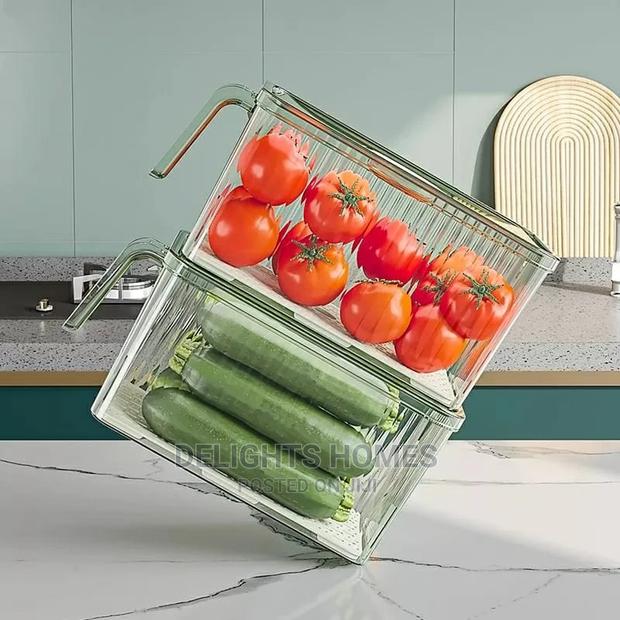 4L Acyric GREENISH Containers - main view