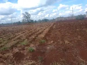 Residential Plot for Sale in Anmer Estate Next to Migaa