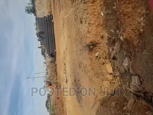 Plots for Immediate Development in Kamakis