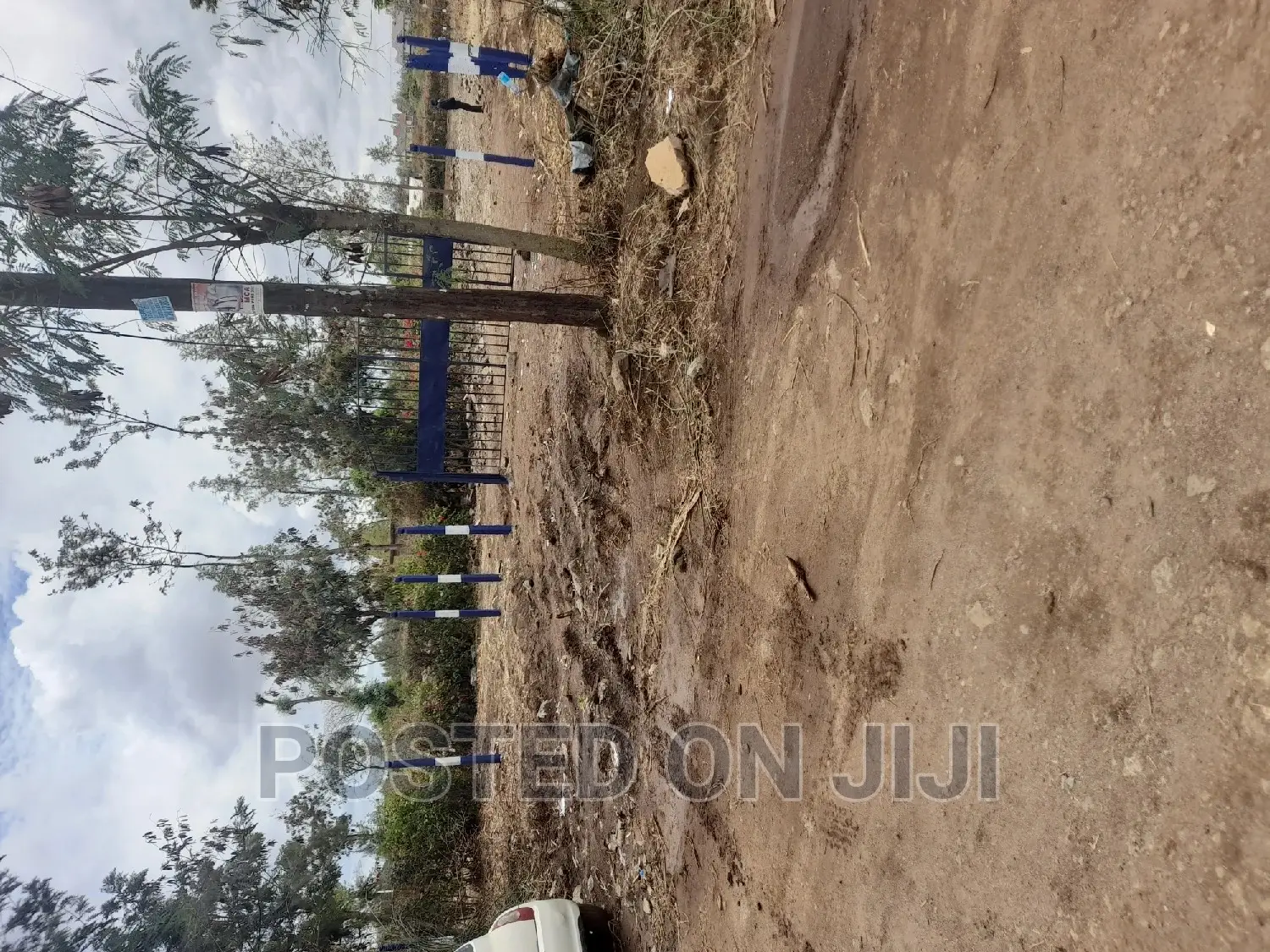 Plots for Immediate Development in Kamakis