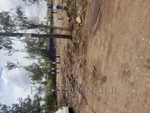 Plots for Immediate Development in Kamakis