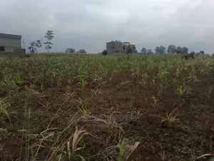 Residential Plots Near Migaa Estate. Matrofi Estate.