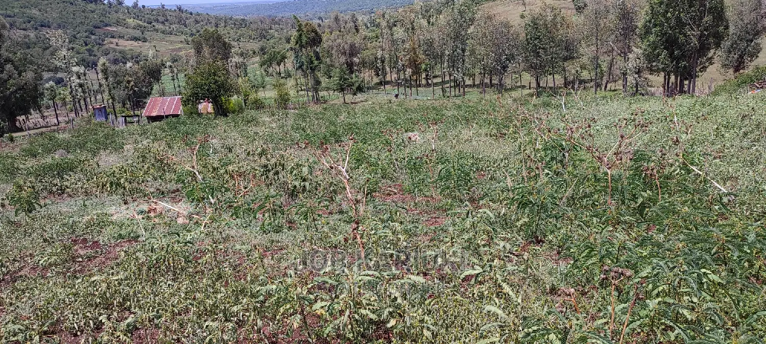 2 Acres KIAWARA RUIRII Near Nyahururu Highway in Kieni Land & Plots
