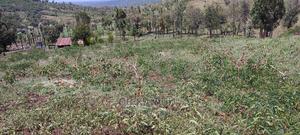2 Acres KIAWARA RUIRII Near Nyahururu Highway - thumbnail 2