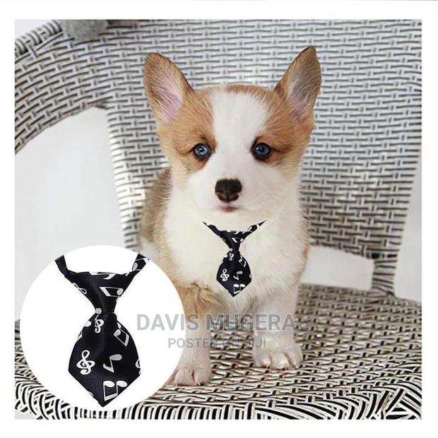 Lemonbest Tie for Cats and Dogs - main view