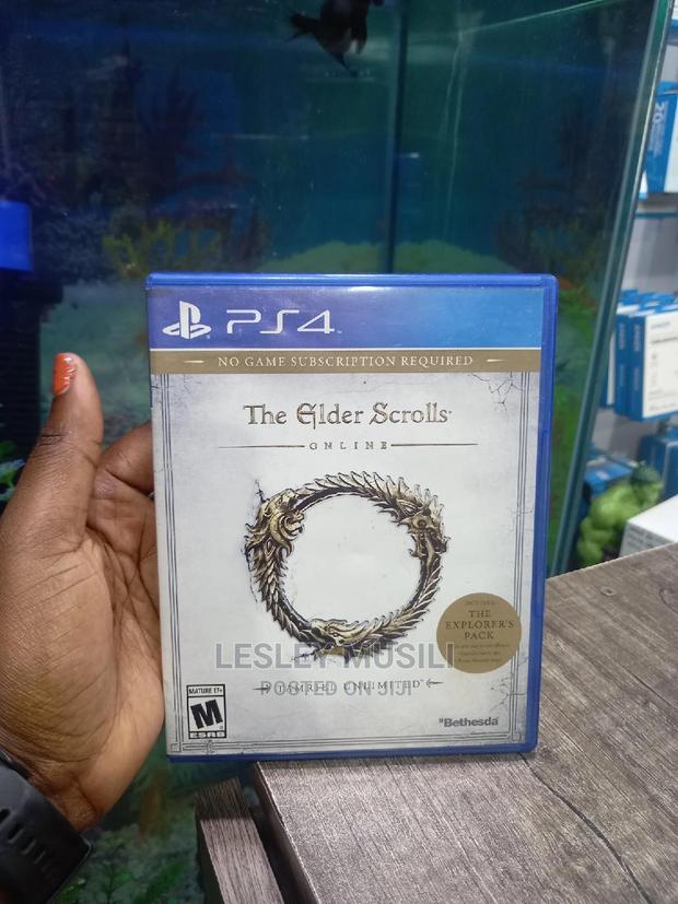 Ps4 the Elder Scrolls - main view