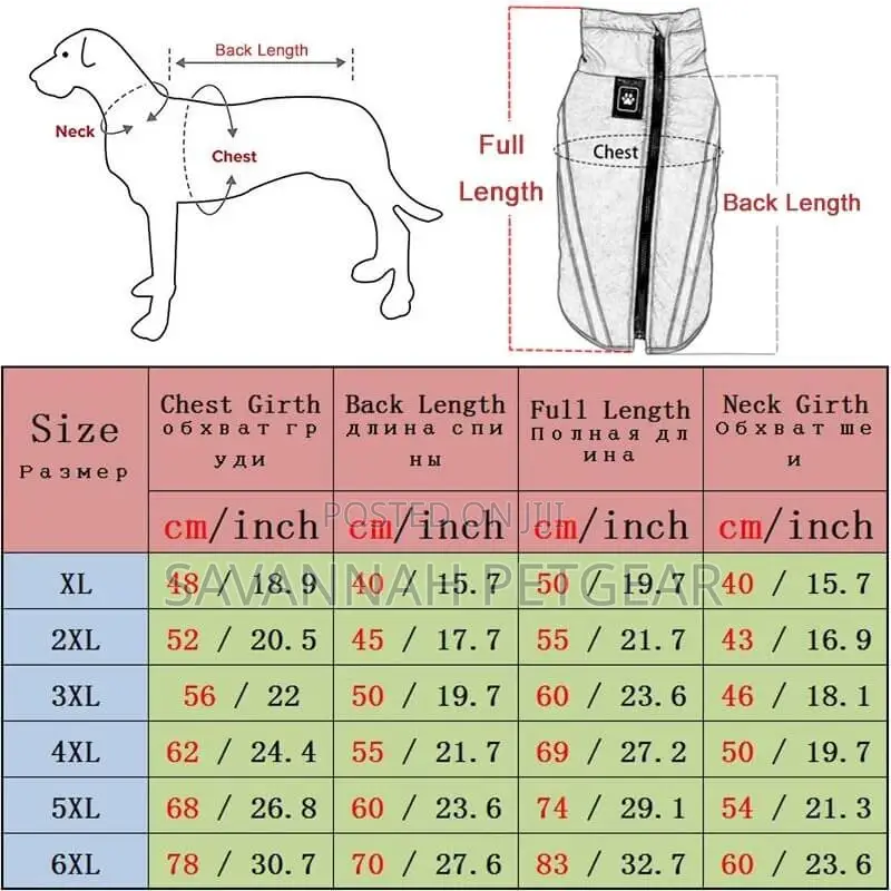 Casual Canvas Dog Shoes, Sports Pet Shoes